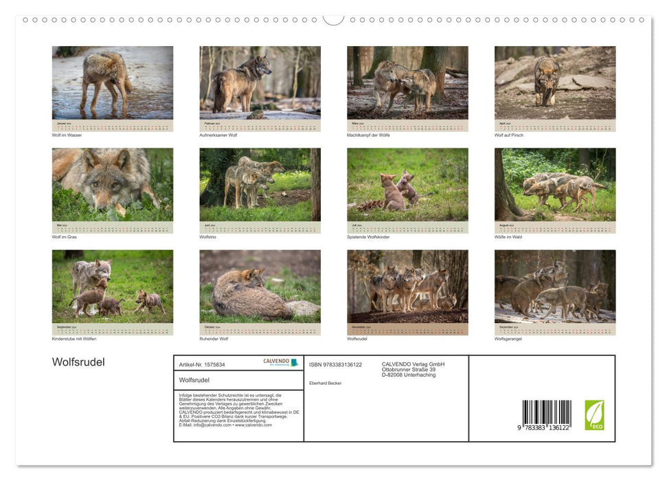 Wolfsrudel (CALVENDO Premium Wandkalender 2024)