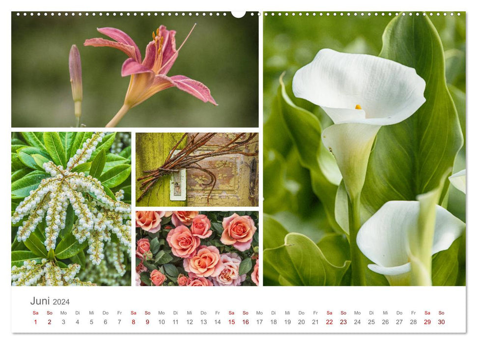 A garden that invites you to linger (CALVENDO wall calendar 2024) 