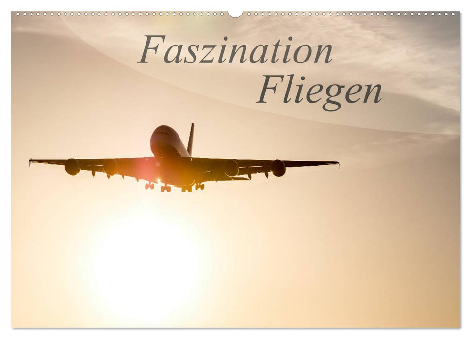 Faszination Fliegen (CALVENDO Wandkalender 2024)