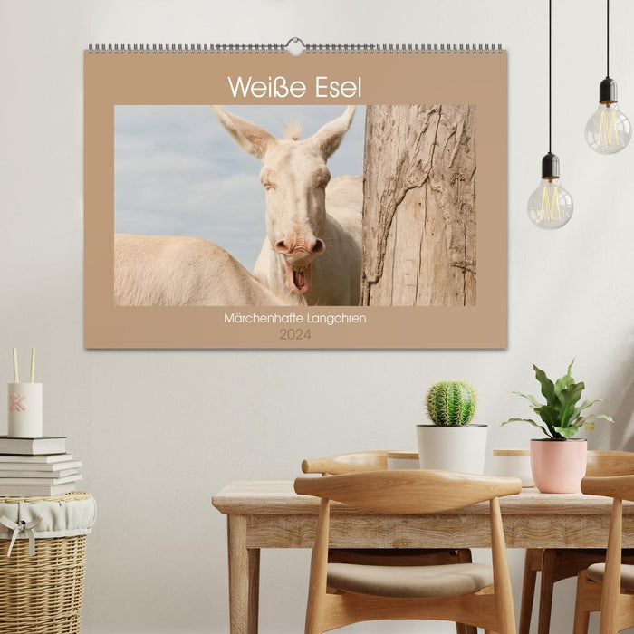 Weiße Esel - Märchenhafte Langohren (CALVENDO Wandkalender 2024)