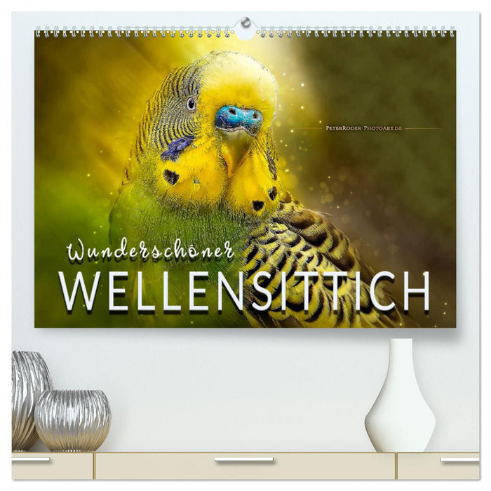 Wunderschöner Wellensittich (CALVENDO Premium Wandkalender 2024)