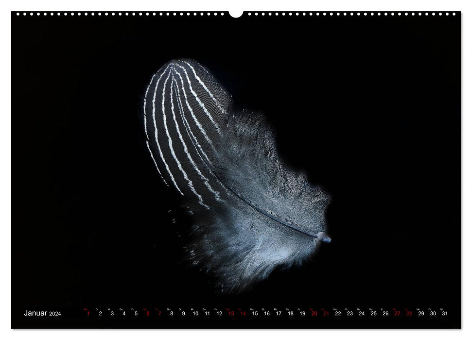 Feather-light moments (CALVENDO Premium Wall Calendar 2024) 