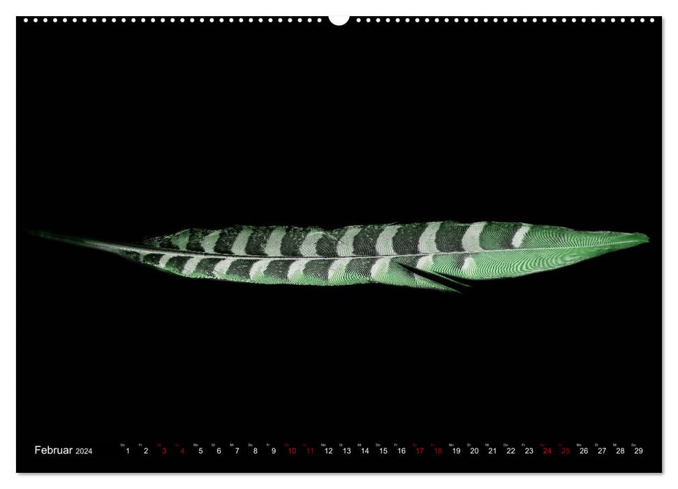 Feather-light moments (CALVENDO Premium Wall Calendar 2024) 