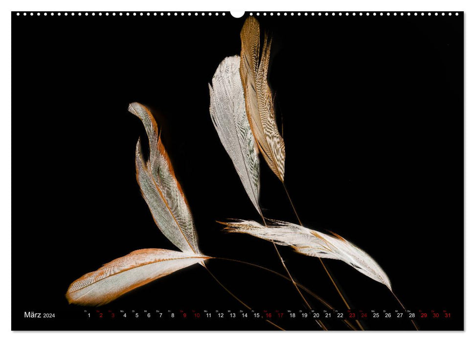 Feather-light moments (CALVENDO Premium Wall Calendar 2024) 