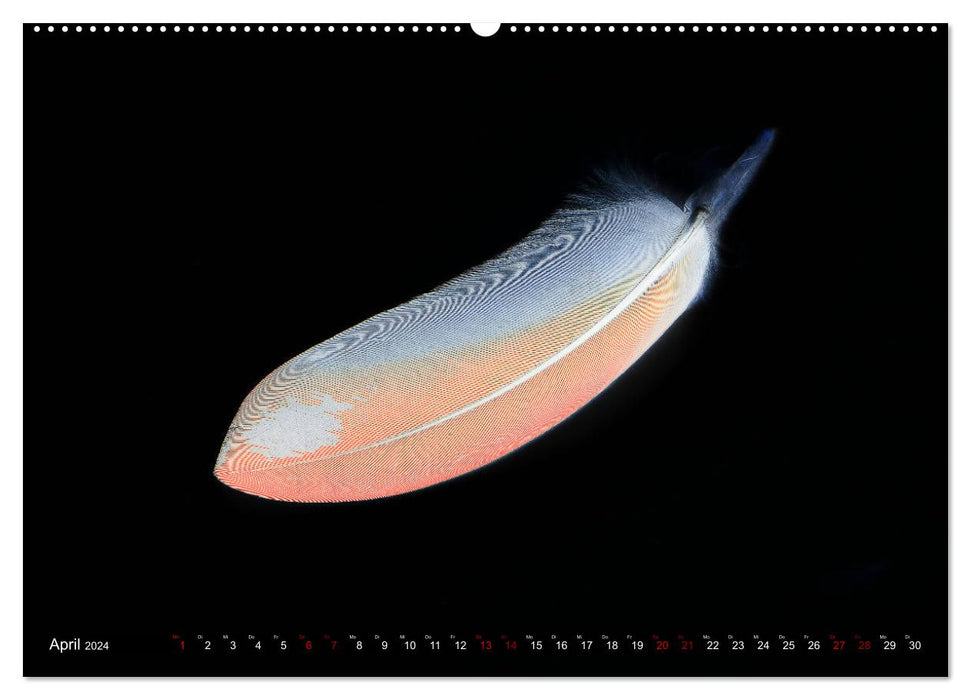 Feather-light moments (CALVENDO Premium Wall Calendar 2024) 