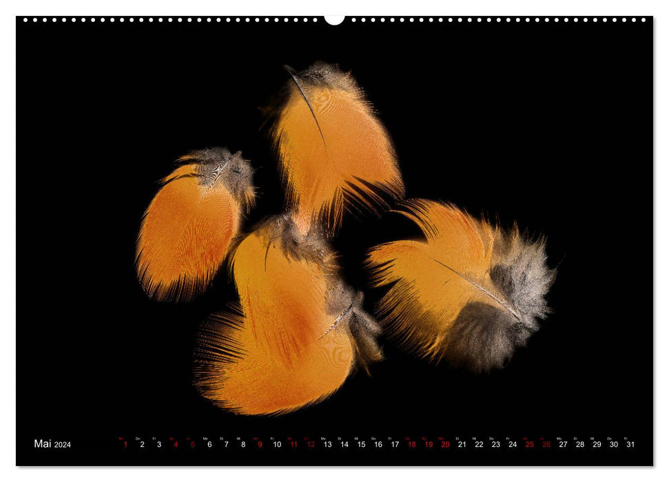 Feather-light moments (CALVENDO Premium Wall Calendar 2024) 