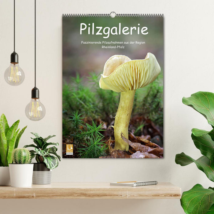 Pilzgalerie - Faszinierende Pilzaufnahmen aus der Region Rheinland-Pfalz (CALVENDO Wandkalender 2024)