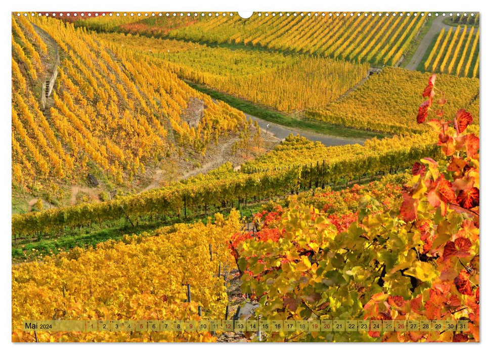 Herbstleuchten an der Mosel (CALVENDO Premium Wandkalender 2024)