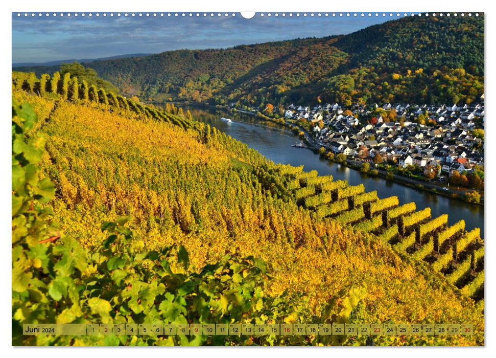 Autumn lights on the Moselle (CALVENDO Premium Wall Calendar 2024) 
