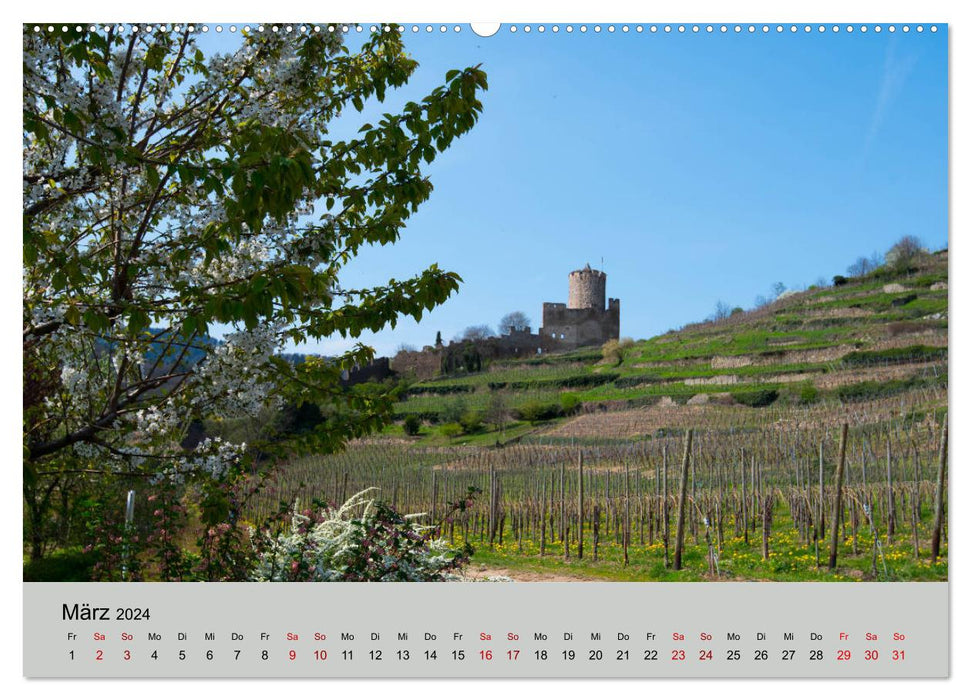 Die Weinstaße im Elsass (CALVENDO Premium Wandkalender 2024)