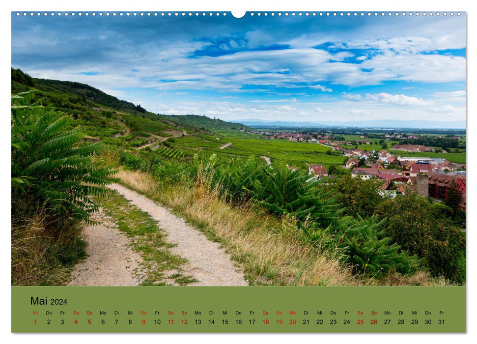 The wine route in Alsace (CALVENDO Premium Wall Calendar 2024) 