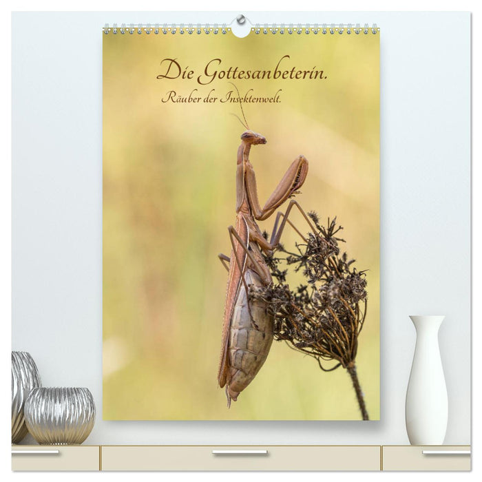 Die Gottesanbeterin. Räuber der Insektenwelt. (CALVENDO Premium Wandkalender 2024)