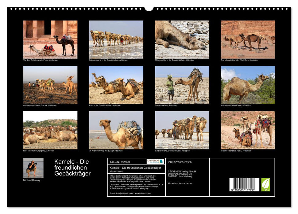 Camels - The friendly porters (CALVENDO Premium Wall Calendar 2024) 