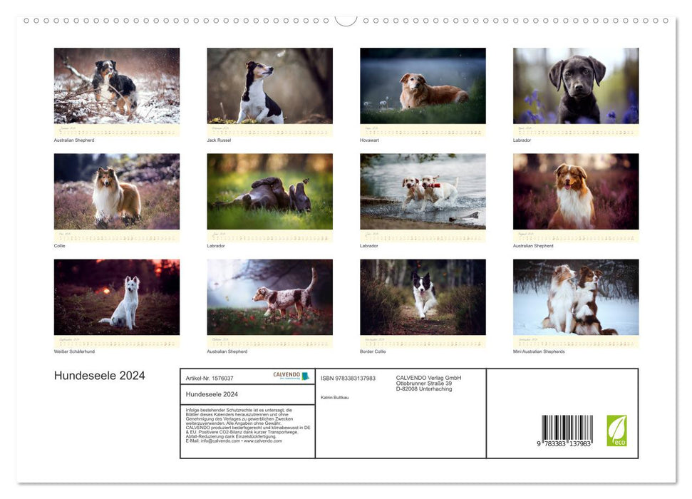 Dog Soul (CALVENDO Premium Wall Calendar 2024) 