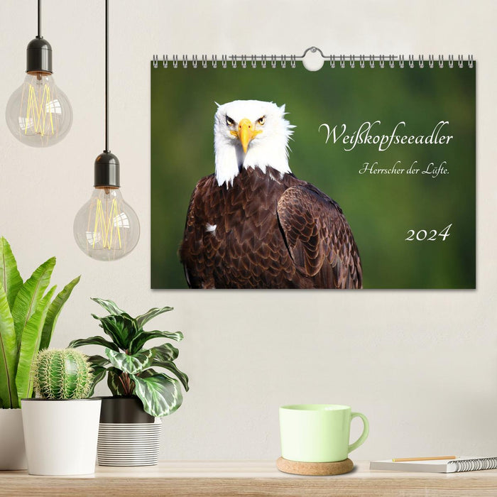 Weißkopfseeadler. Herrscher der Lüfte. 2024 (CALVENDO Wandkalender 2024)