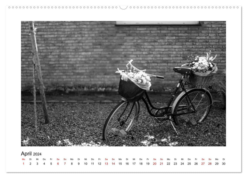 Cologne-Höhenhaus today (CALVENDO Premium Wall Calendar 2024) 