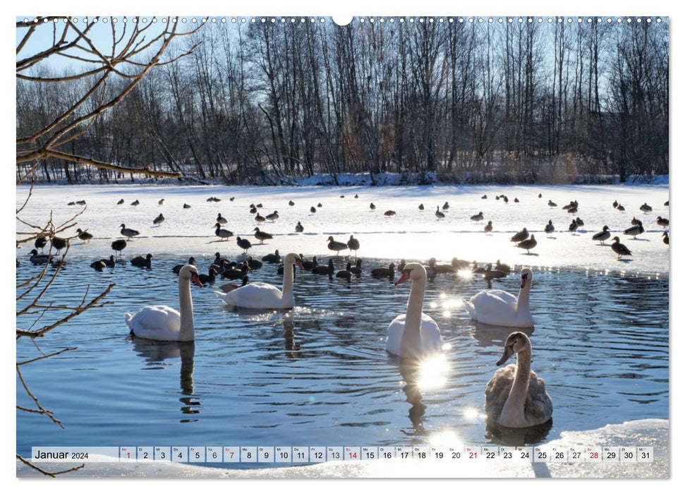 Merveilleuse Thuringe - Eaux (calendrier mural CALVENDO 2024) 