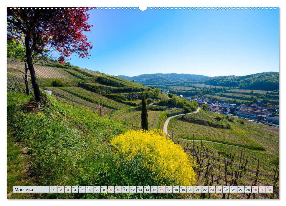 Weinregion Kaiserstuhl (CALVENDO Premium Wandkalender 2024)