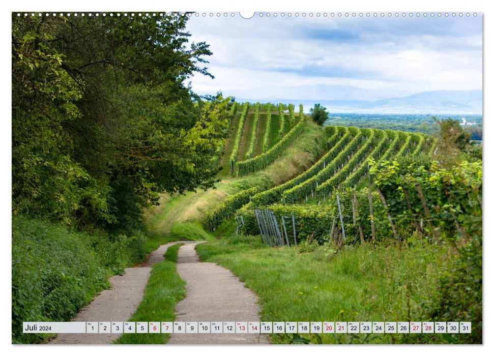 Weinregion Kaiserstuhl (CALVENDO Premium Wandkalender 2024)