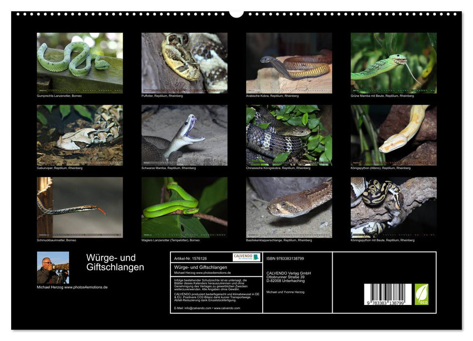 Constrictors and poisonous snakes (CALVENDO Premium Wall Calendar 2024) 