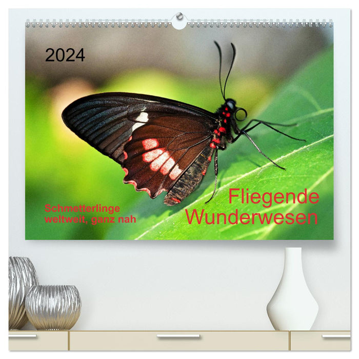 Fliegende Wunderwesen. Schmetterlinge weltweit, ganz nah (CALVENDO Premium Wandkalender 2024)