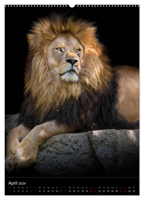 King of the Animals (CALVENDO Premium Wall Calendar 2024) 