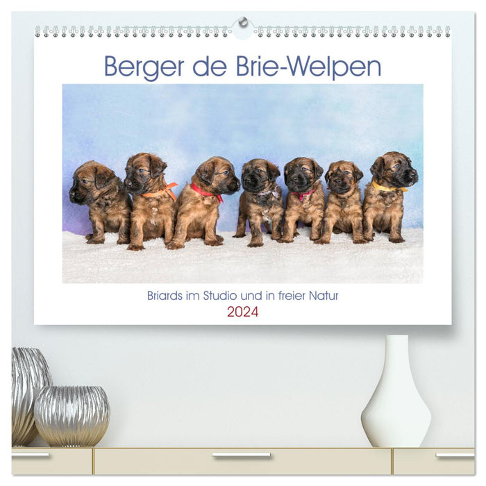 Berger de Brie - Welpen (CALVENDO Premium Wandkalender 2024)