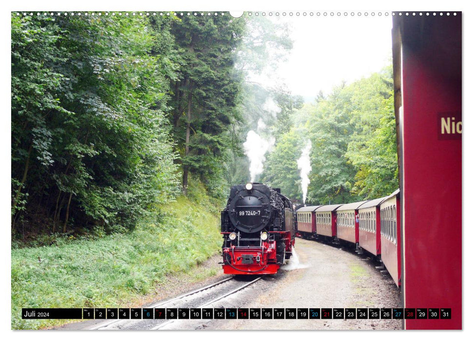 Dampf am Brocken - Die Harzquerbahn (CALVENDO Premium Wandkalender 2024)