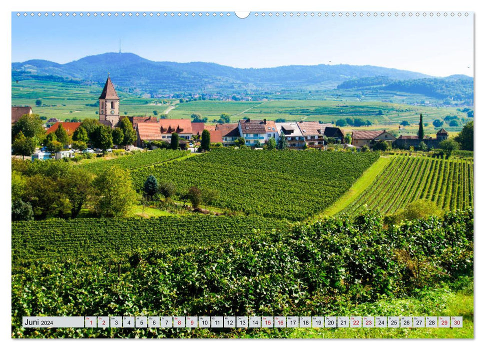 Région viticole de Kaiserstuhl (calendrier mural CALVENDO 2024) 