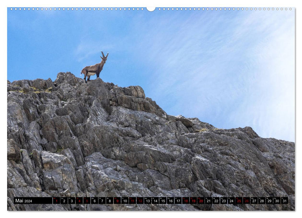 Parc National de la Vanoise (Calendrier mural CALVENDO 2024) 