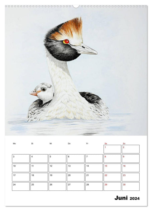 Vögel im Wind (CALVENDO Premium Wandkalender 2024)