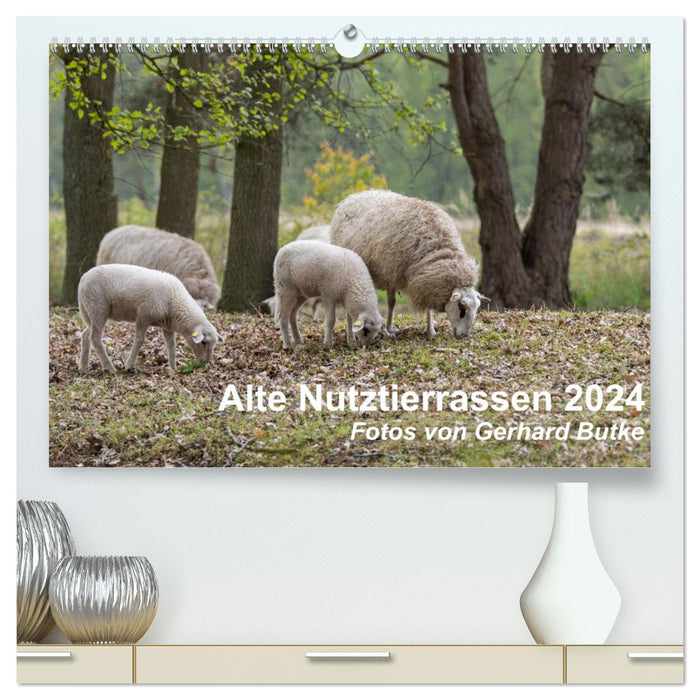 Alte Nutztierrassen 2024 (CALVENDO Premium Wandkalender 2024)