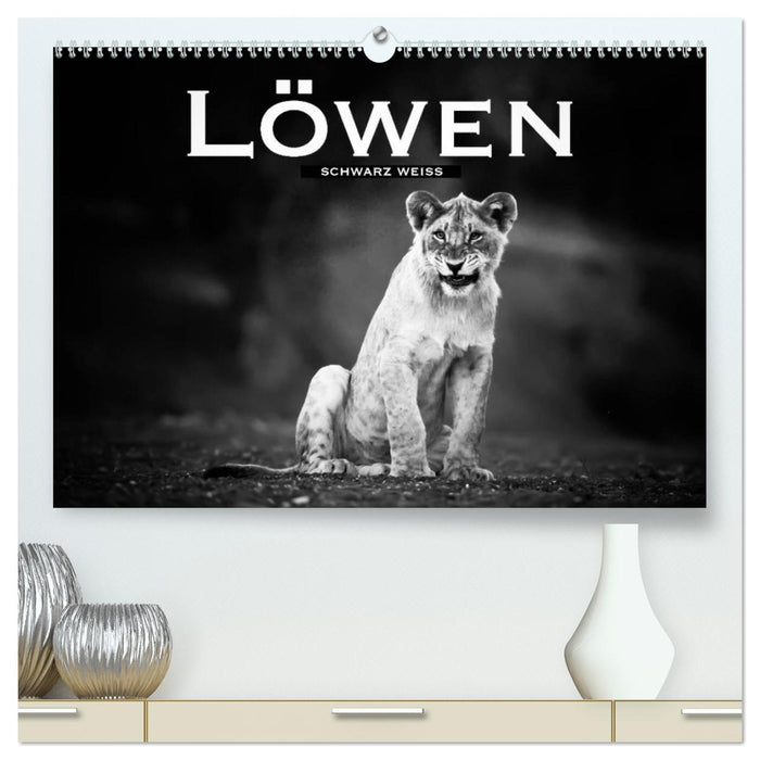 Löwen schwarz weiß (CALVENDO Premium Wandkalender 2024)
