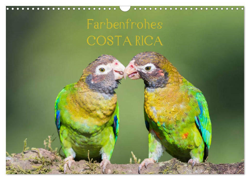Farbenfrohes Costa Rica (CALVENDO Wandkalender 2024)