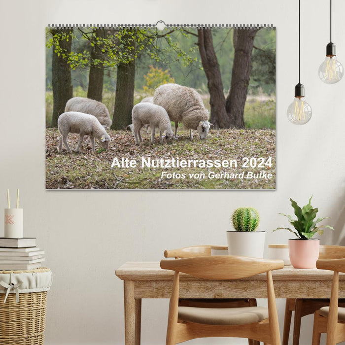 Alte Nutztierrassen 2024 (CALVENDO Wandkalender 2024)