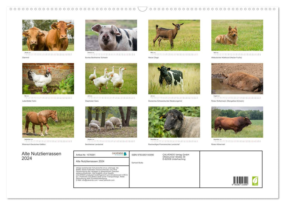 Anciennes races d'animaux de ferme 2024 (Calendrier mural CALVENDO 2024) 