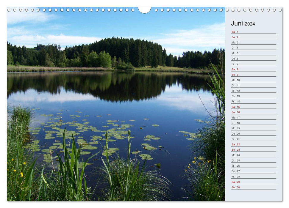 Rieden am Forggensee (CALVENDO Wandkalender 2024)