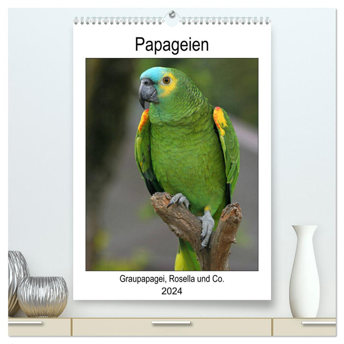 Papageien - Graupapagei, Rosella und Co. (CALVENDO Premium Wandkalender 2024)