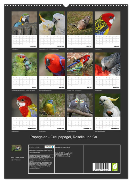 Papageien - Graupapagei, Rosella und Co. (CALVENDO Premium Wandkalender 2024)