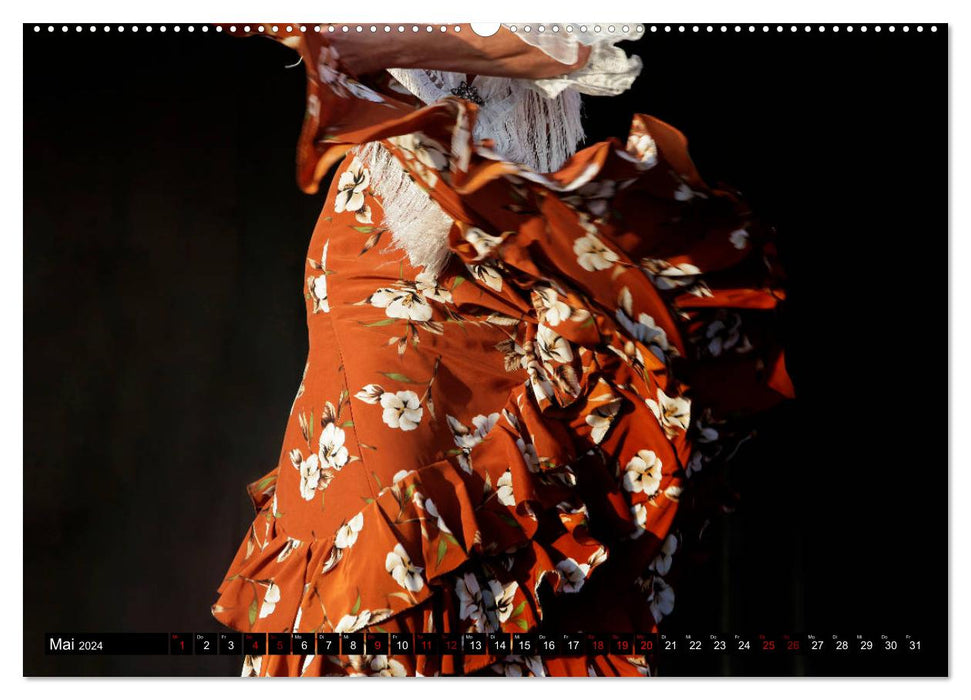 Flamenco. Spanischer Tanz (CALVENDO Premium Wandkalender 2024)