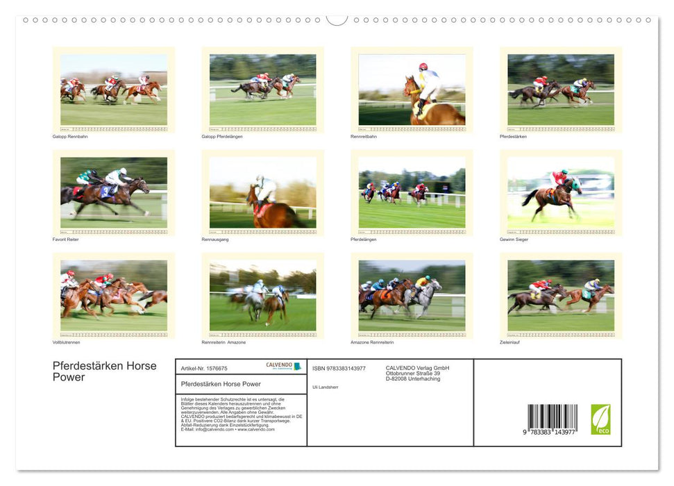 Pferdestärken Horse Power (CALVENDO Premium Wandkalender 2024)