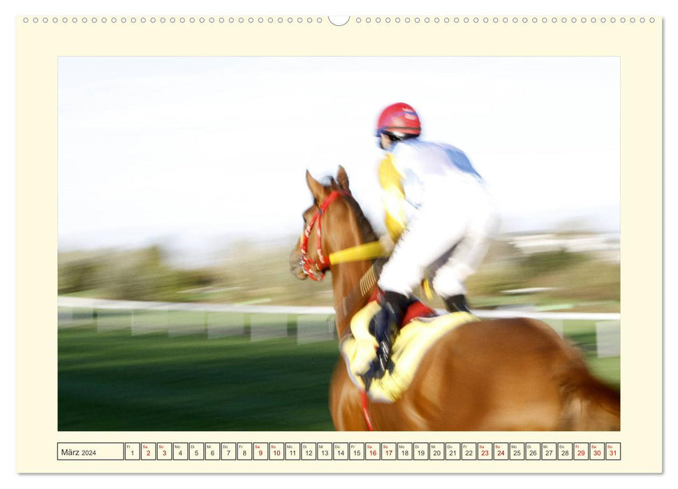 Pferdestärken Horse Power (CALVENDO Premium Wandkalender 2024)