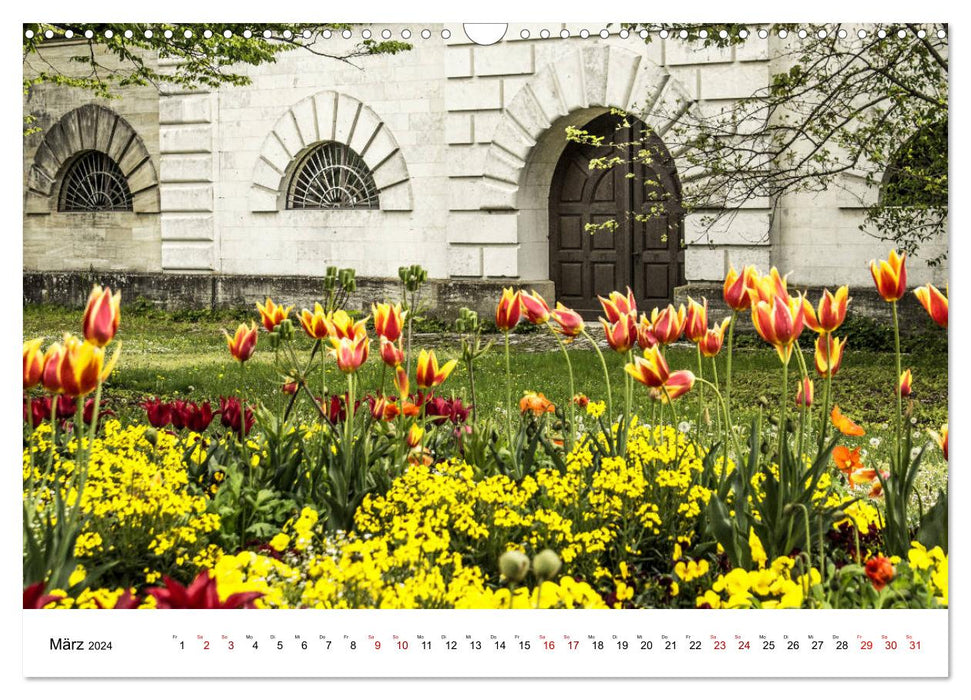 Fairytale Ingolstadt (CALVENDO wall calendar 2024) 