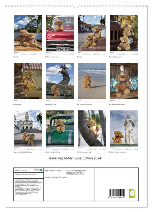 Travelling Teddy Kuba Edition 2024 (CALVENDO Premium Wandkalender 2024)