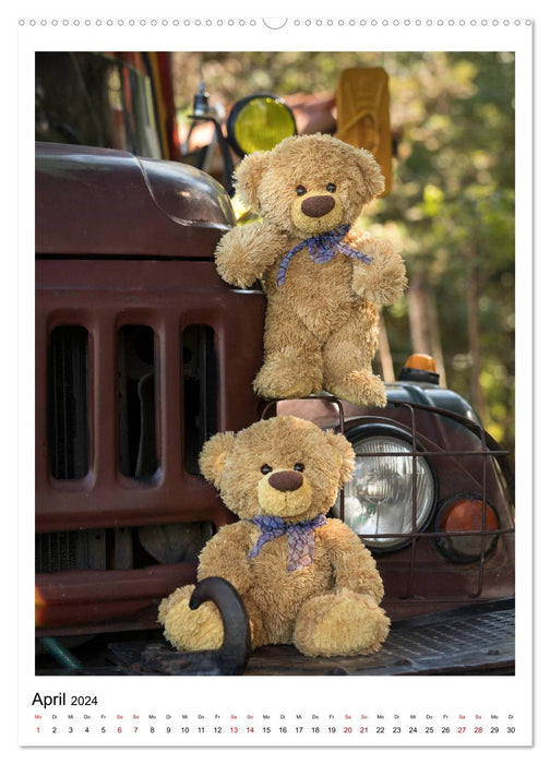 Travelling Teddy Kuba Edition 2024 (CALVENDO Premium Wandkalender 2024)