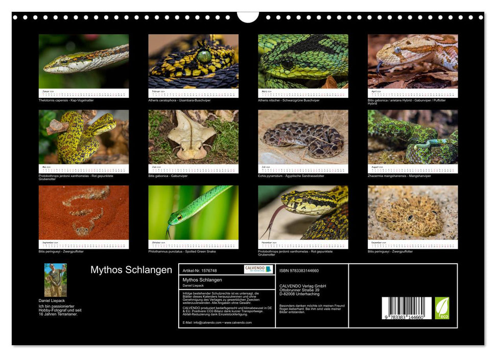 Myth of snakes (CALVENDO wall calendar 2024) 