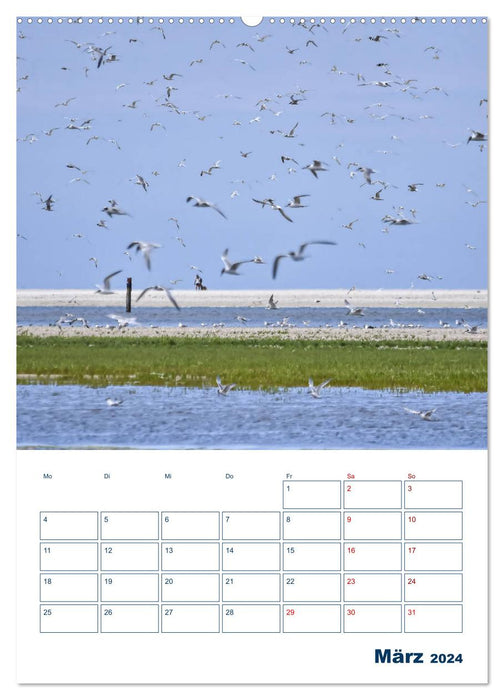 Texel - Momente die verzaubern (CALVENDO Wandkalender 2024)