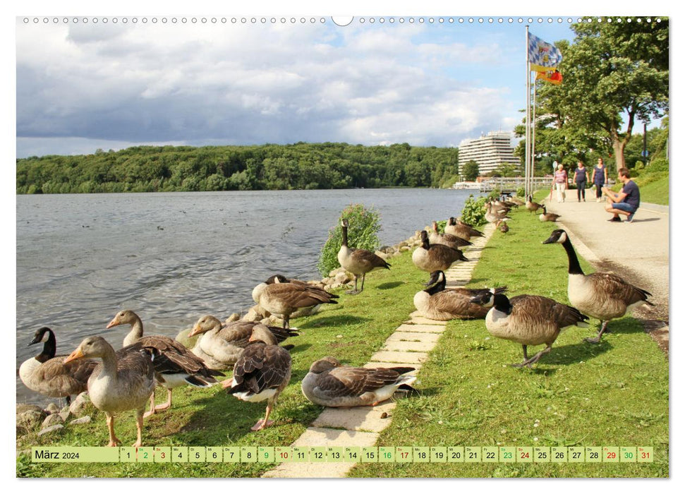 Malente - The colorful heart of Holstein Switzerland (CALVENDO wall calendar 2024) 