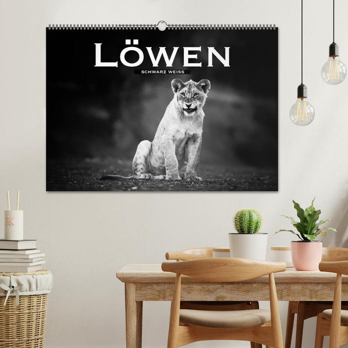 Lions black white (CALVENDO wall calendar 2024) 