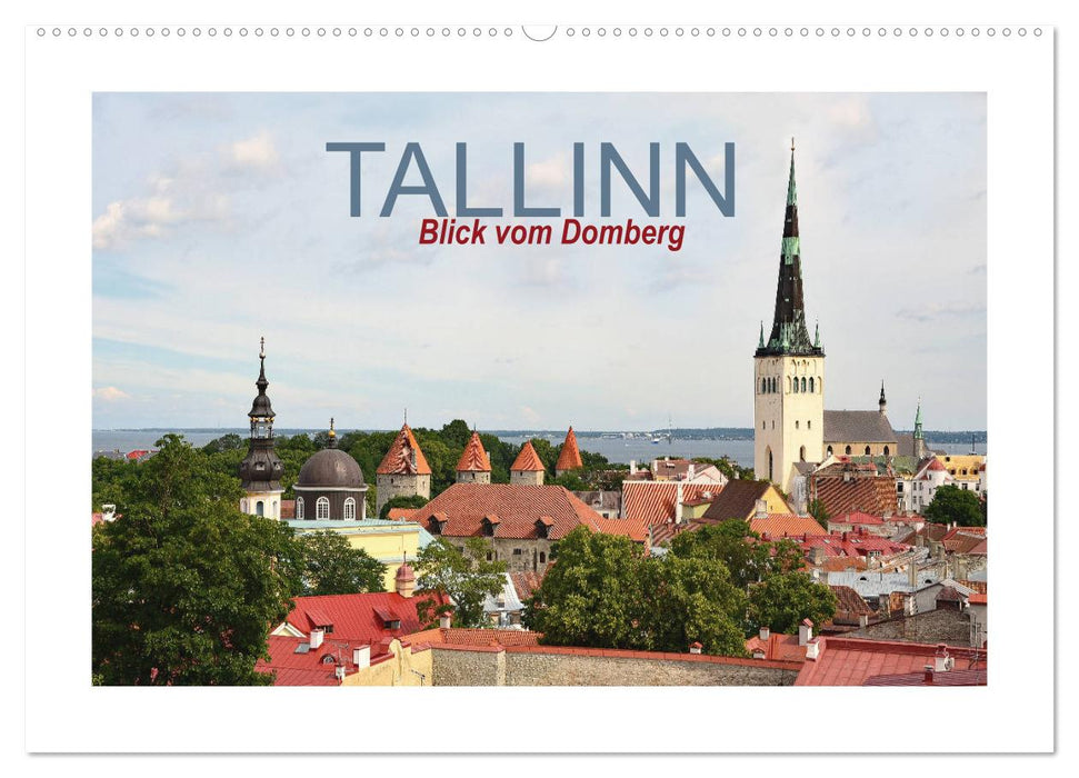 Vue de Tallinn depuis Toompea (calendrier mural CALVENDO 2024) 